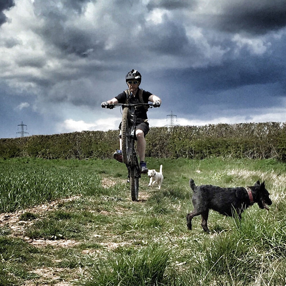 wheelie